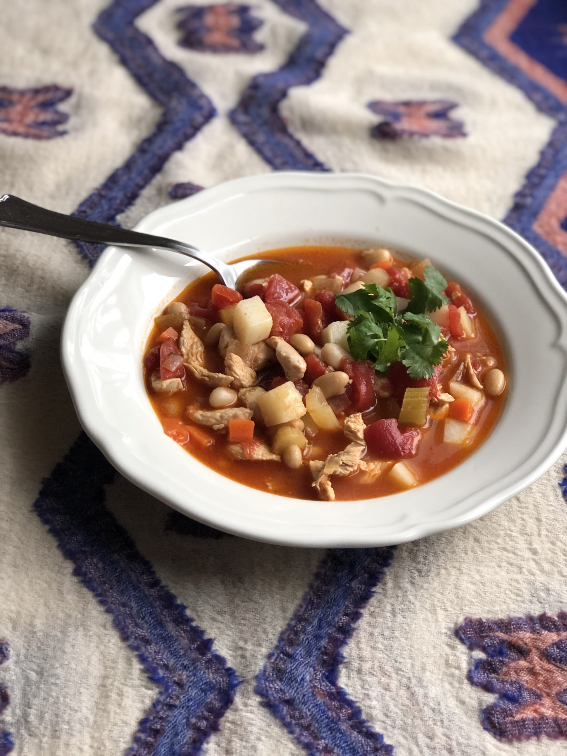 Soupe minestrone au poulet
